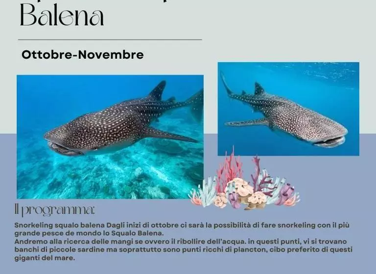 پانسیون A Casa Di Giorgia Lodge Nosy Be Andilana