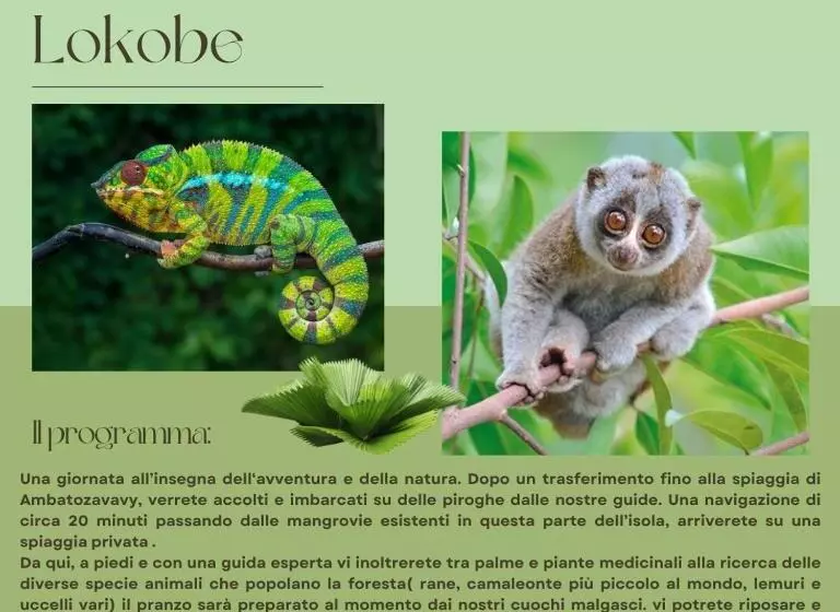 پانسیون A Casa Di Giorgia Lodge Nosy Be Andilana