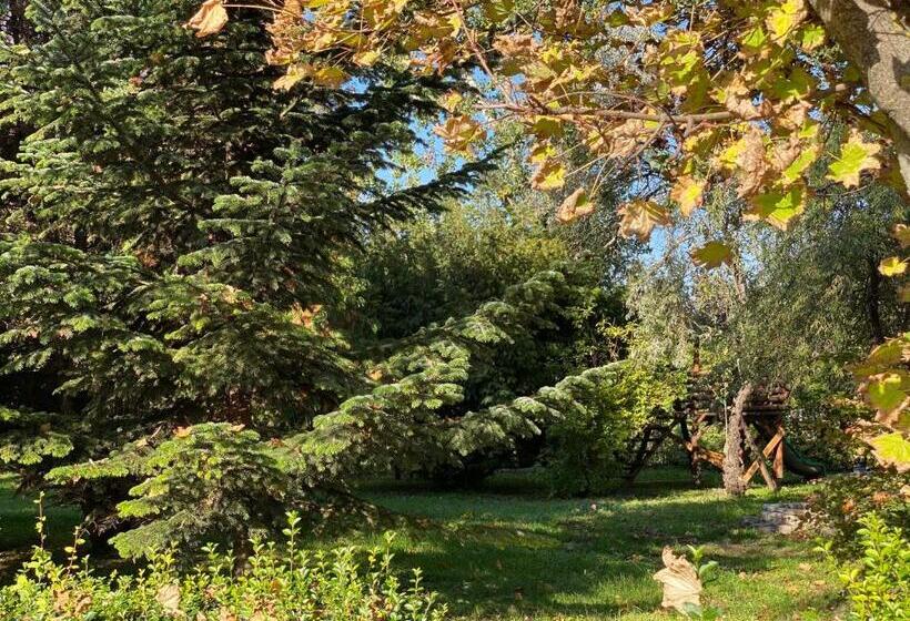 ベッドアンドブレックファースト A Fogadó