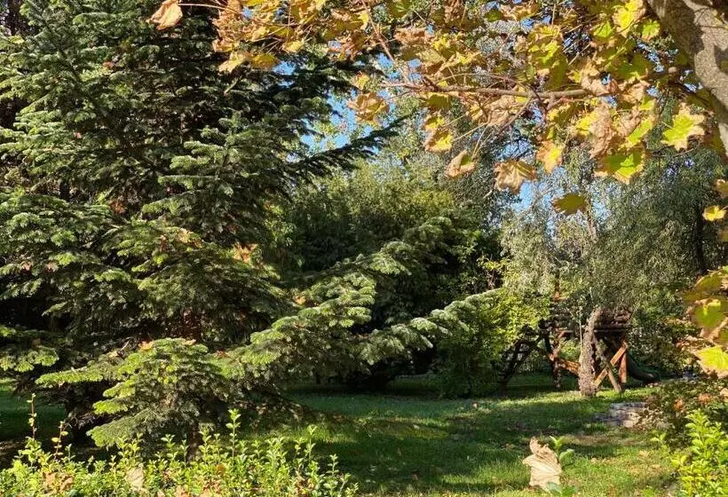 Aamiaismajoitus (B&B) A Fogadó