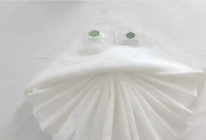 Hotelli Pousada Verissimus