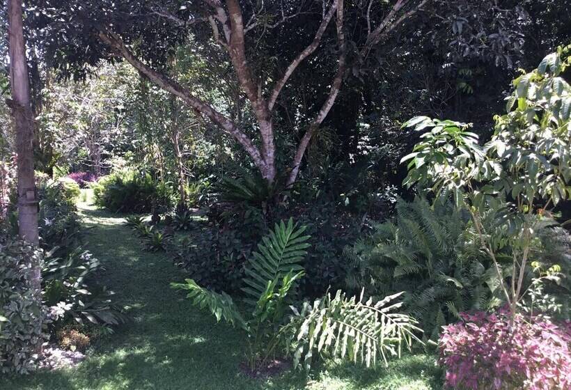 Общежитие Camiguin Lanzones Resort