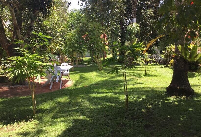 Общежитие Camiguin Lanzones Resort