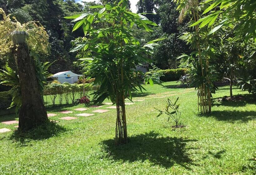 Общежитие Camiguin Lanzones Resort