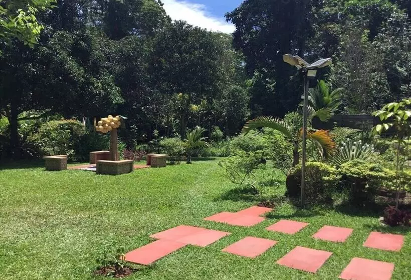 ユースホステル Camiguin Lanzones Resort