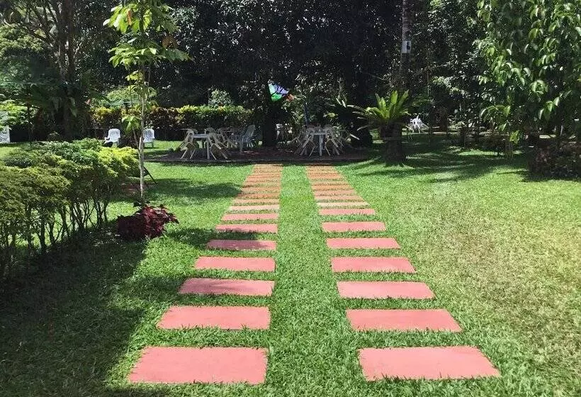 ユースホステル Camiguin Lanzones Resort