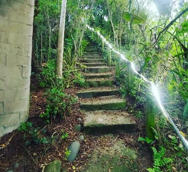 فندق صغير In The Green Backpackers