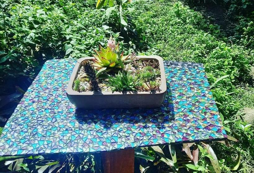 فندق صغير In The Green Backpackers