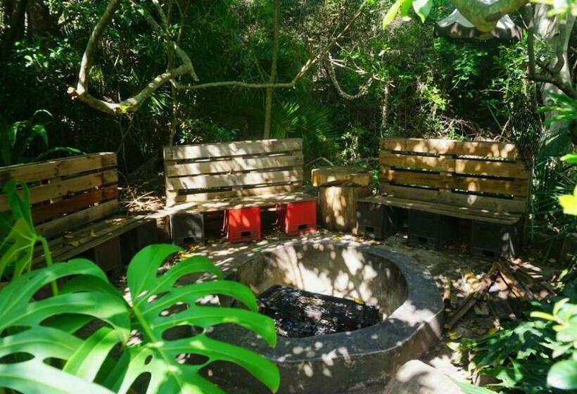 فندق صغير In The Green Backpackers