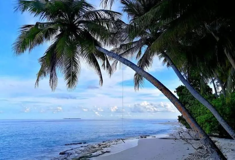 پانسیون Saima Inn