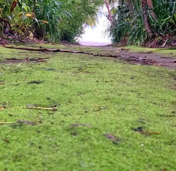 پانسیون Saima Inn