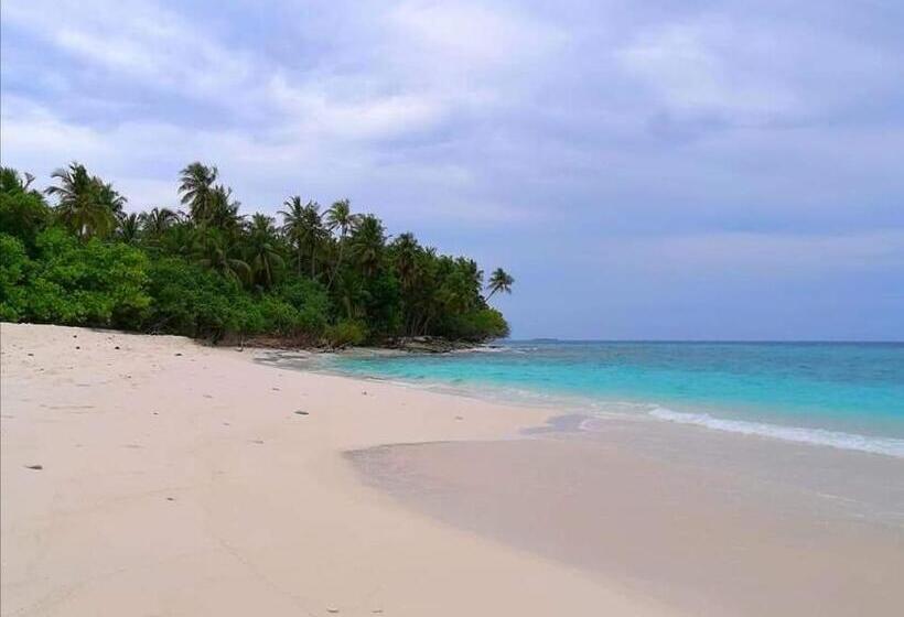 پانسیون Saima Inn