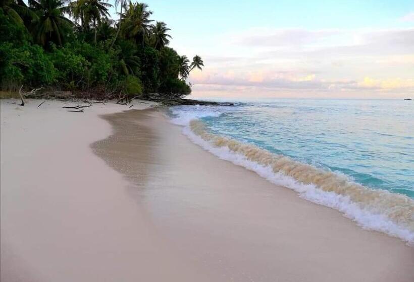 پانسیون Saima Inn