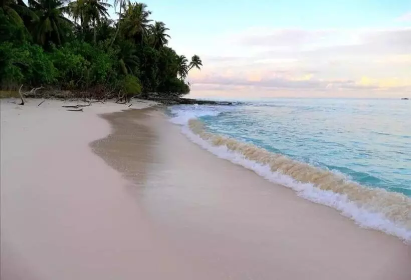 پانسیون Saima Inn