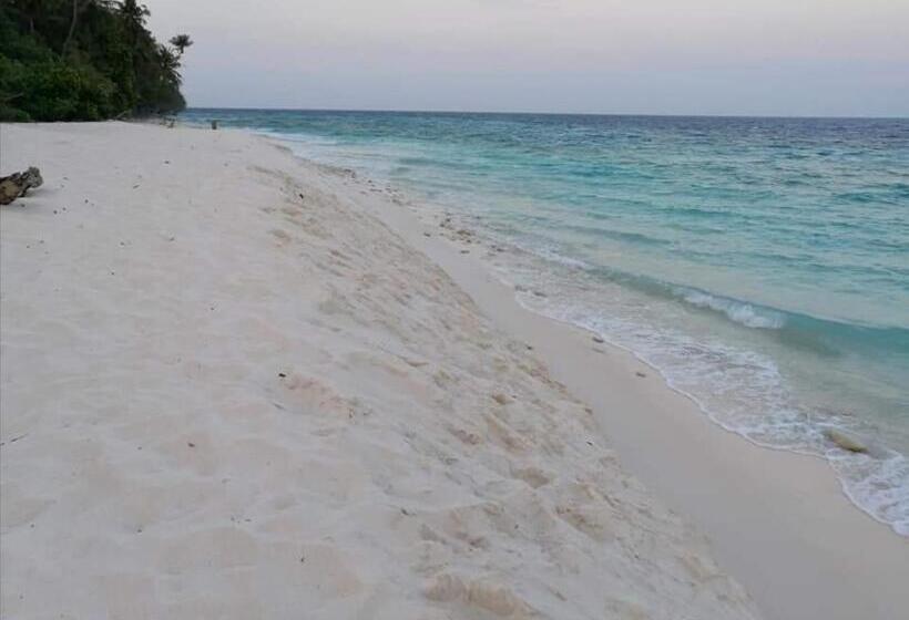 پانسیون Saima Inn