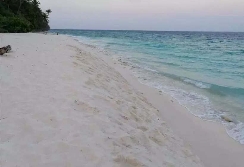 پانسیون Saima Inn