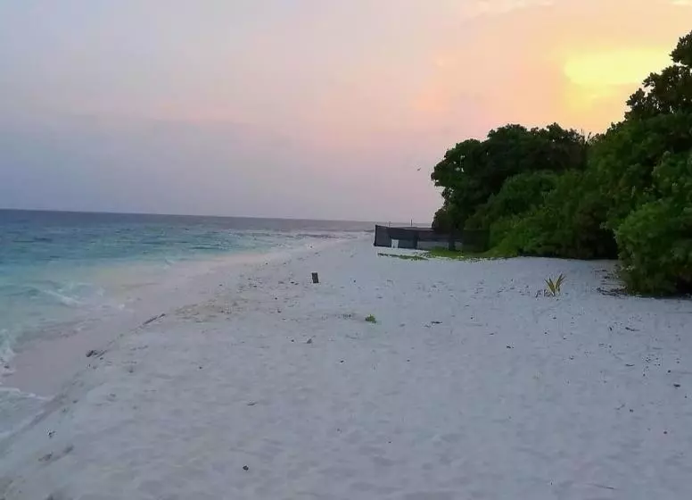 پانسیون Saima Inn