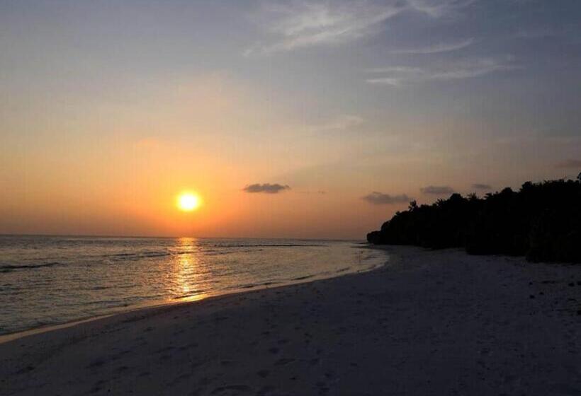 پانسیون Saima Inn