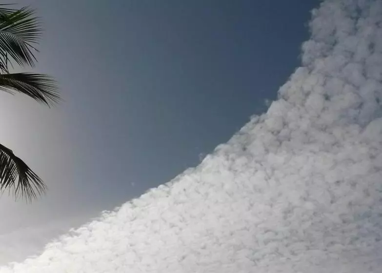 پانسیون Saima Inn