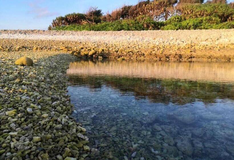 پانسیون Saima Inn