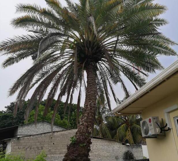 پانسیون Saima Inn