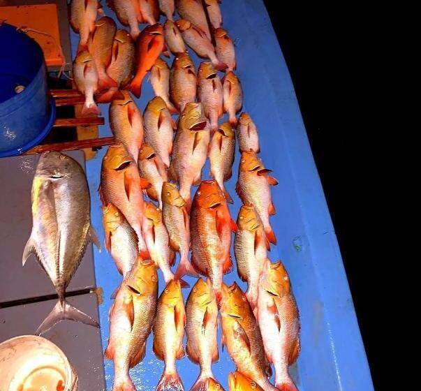 پانسیون Saima Inn