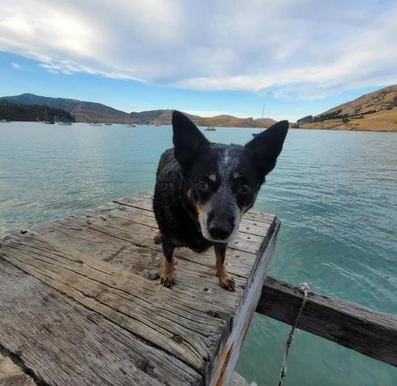 Taimana Boutique Motel