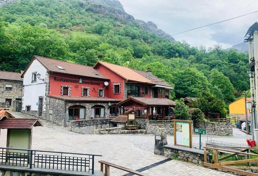 پانسیون Casa Cuevas