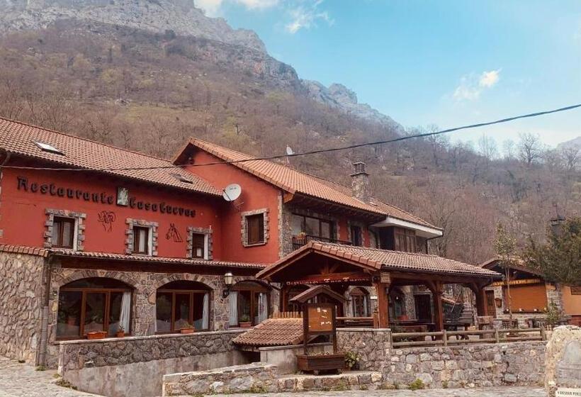 پانسیون Casa Cuevas