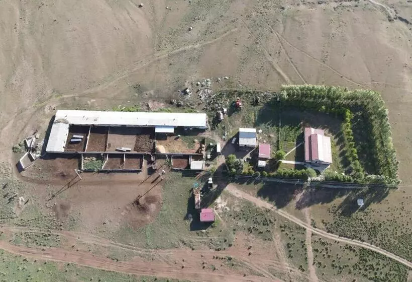 پانسیون Guest House Aidyn Kul