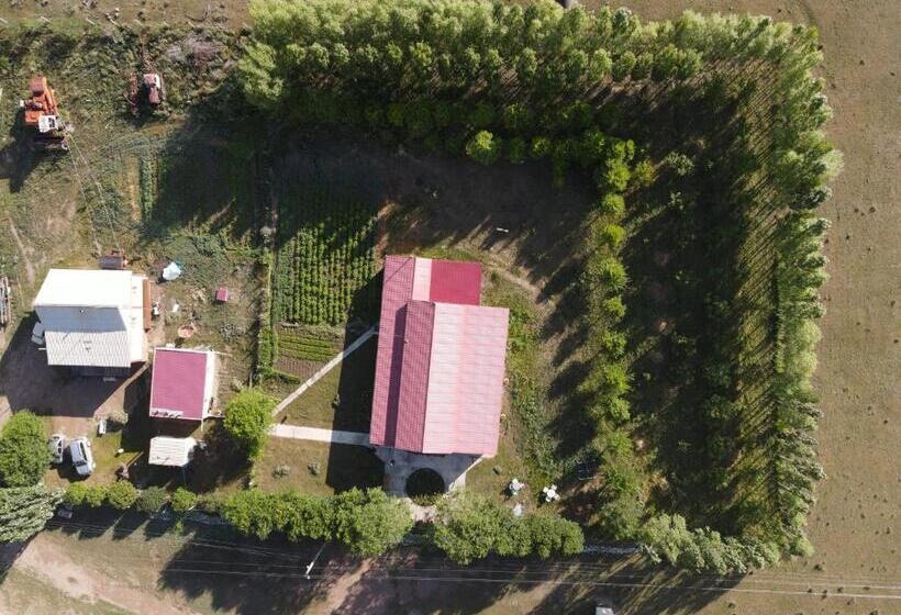 پانسیون Guest House Aidyn Kul