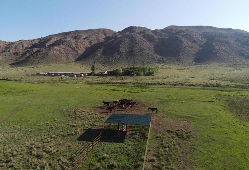 پانسیون Guest House Aidyn Kul