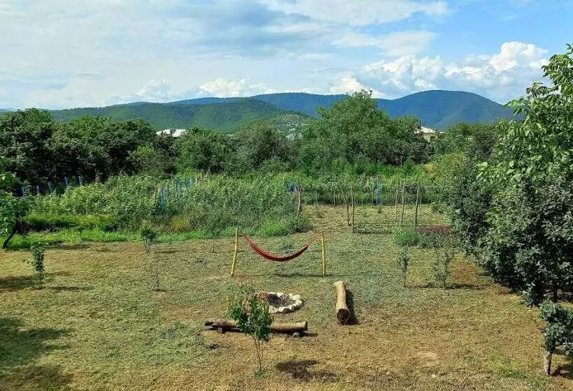 پانسیون Veli Guest House • საოჯახო სასტუმრო ველი