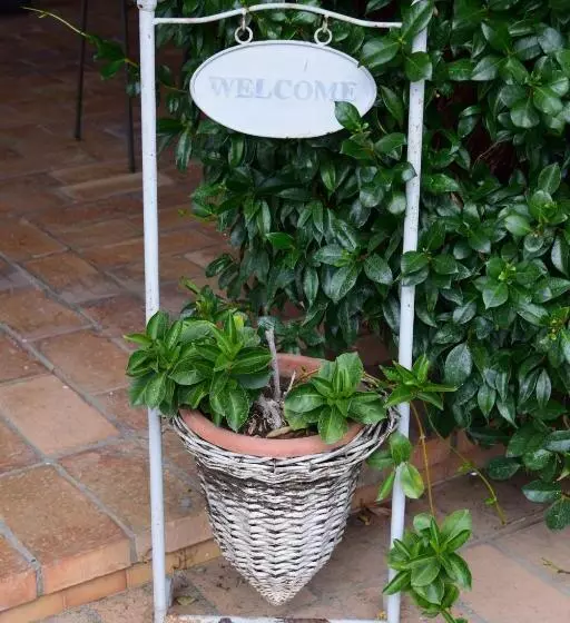 Bed and Breakfast Il Casale Del Sogno