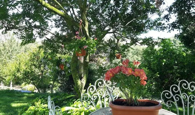 Bed and Breakfast Il Casale Del Sogno