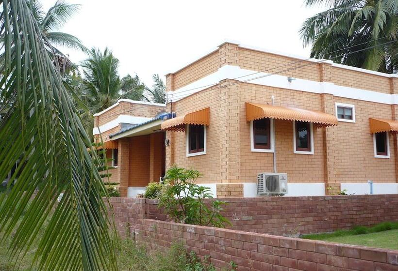 هتل Monkey Samui Hostel