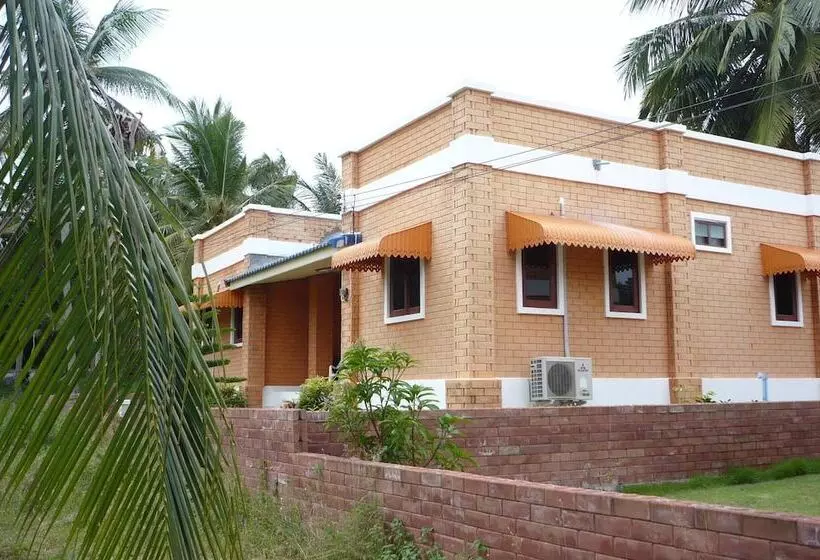 ホテル Monkey Samui Hostel