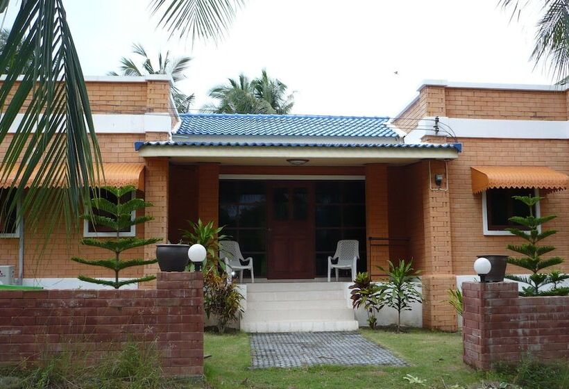 هتل Monkey Samui Hostel