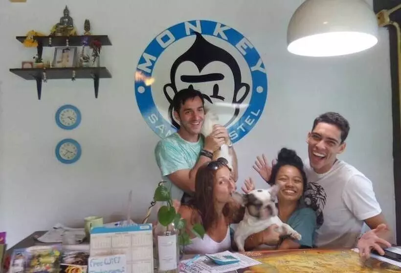 ホテル Monkey Samui Hostel
