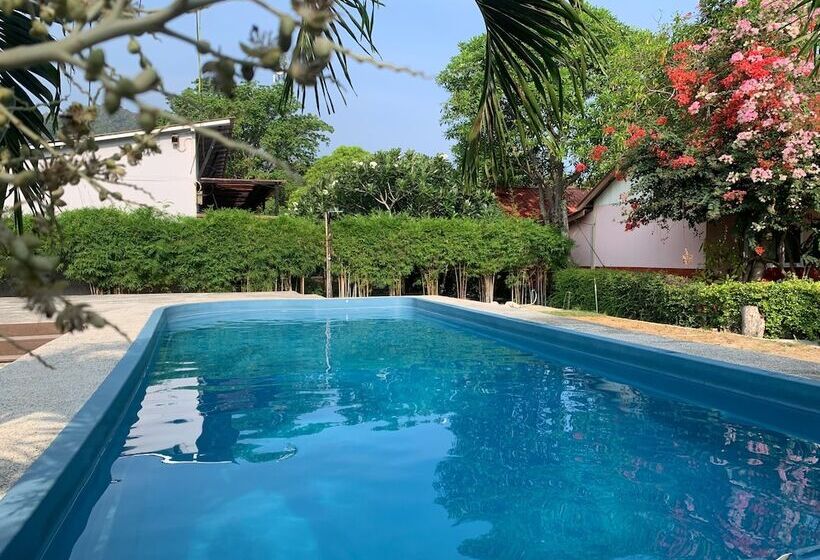 Отель Phi Phi Ba Kao Bay Resort