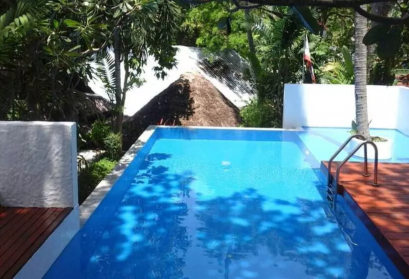 فندق Villa Elisabeth