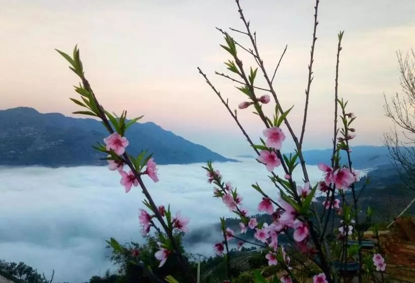 تختخواب و صبحانه A Su Homestay Mù Cang Chải
