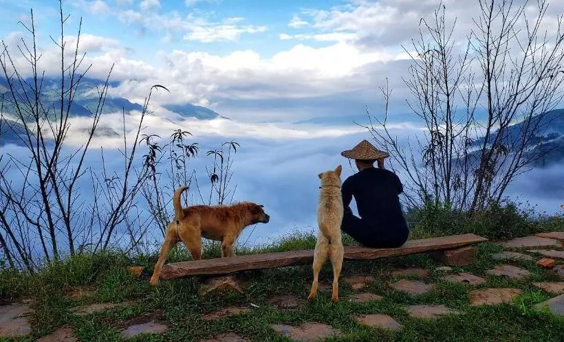 تختخواب و صبحانه A Su Homestay Mù Cang Chải
