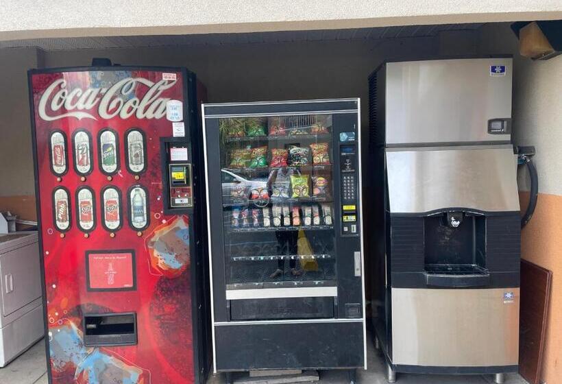 فندق Magnolia Inn