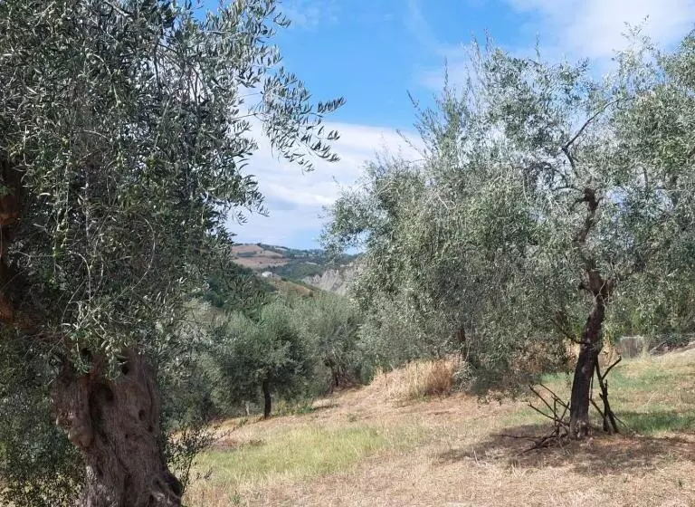 ホテル Villa Ferranti Abruzzo