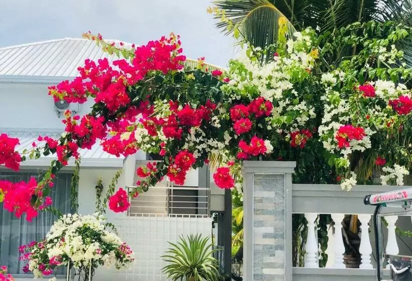 پانسیون Bougain Villa Gemanafushi