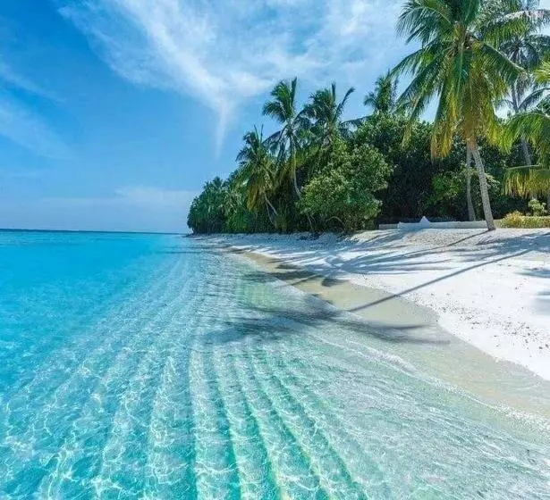 پانسیون Bougain Villa Gemanafushi