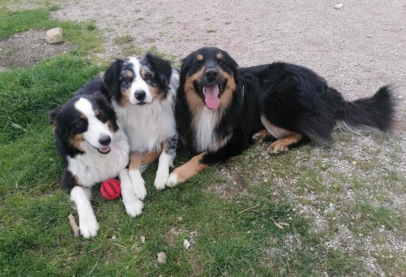 مبيت وإفطار Ferme Les Poneys De La Durme