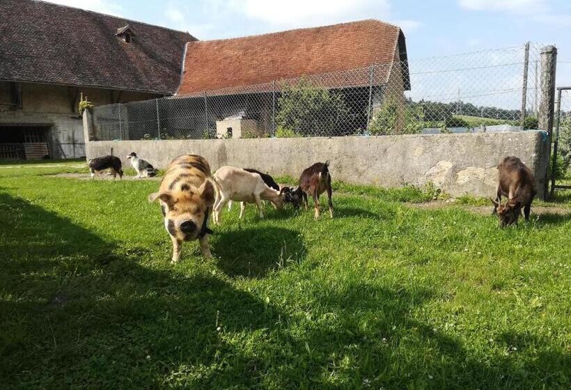 مبيت وإفطار Ferme Les Poneys De La Durme