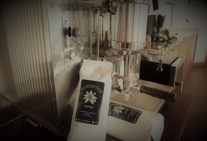 בית מלון כפרי Edelwyss Inn